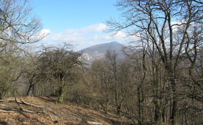 Zo Sološnice do Modry